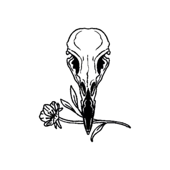 Bones of Beauty