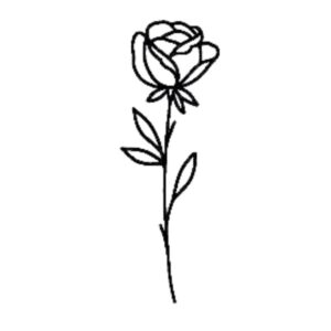 Moiety