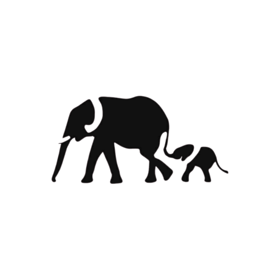 Ohana