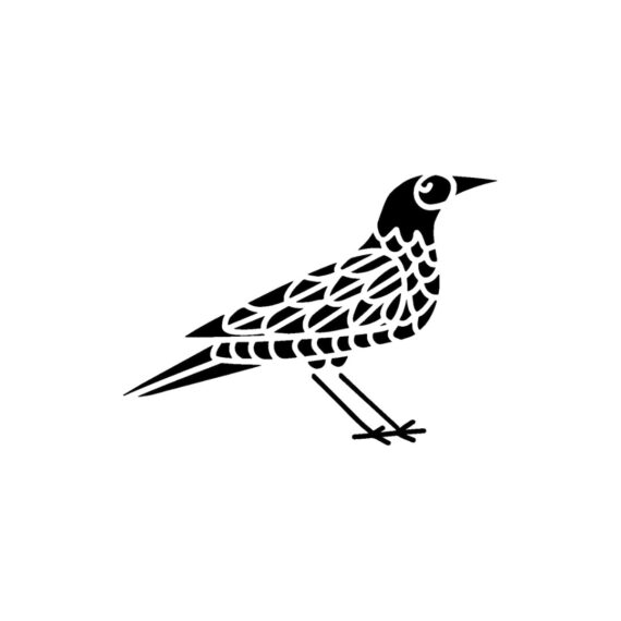 Blackburd