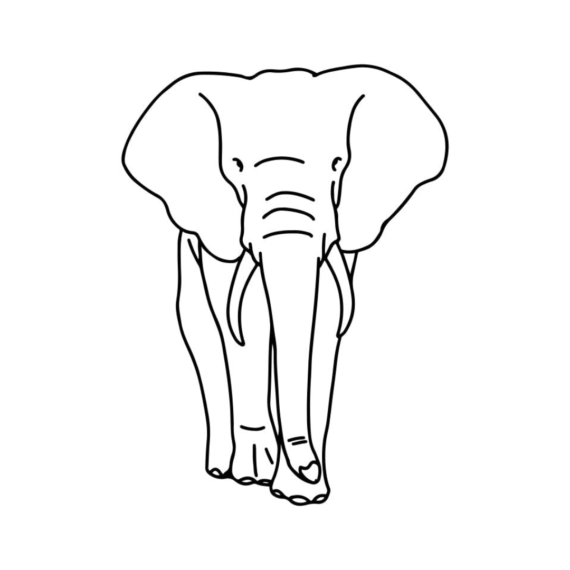 Elephant Waltz