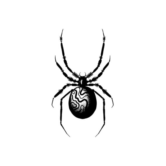 Oil Spill Spider
