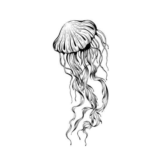 Medusa Flow