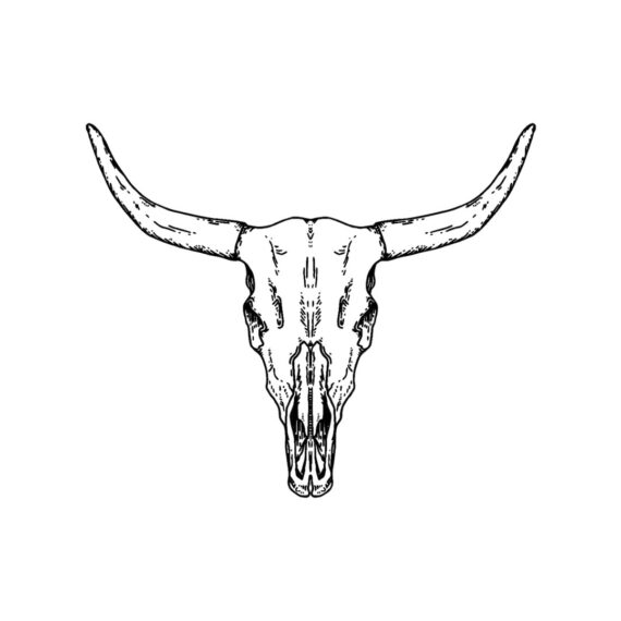 This is Bull