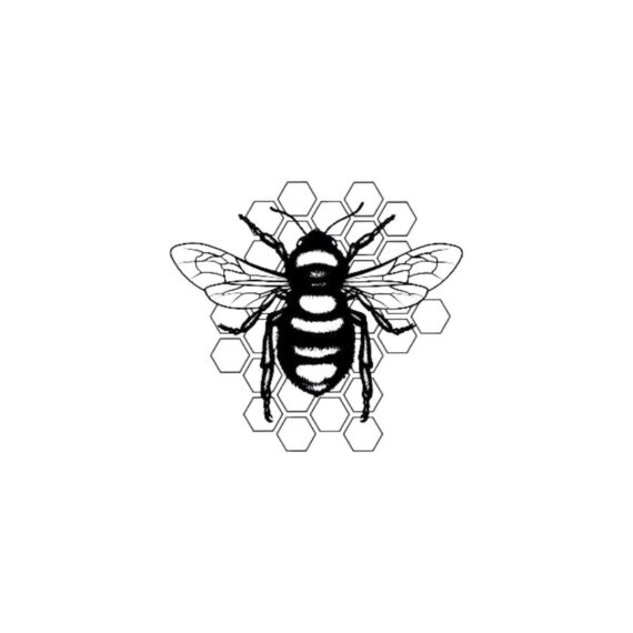Hive