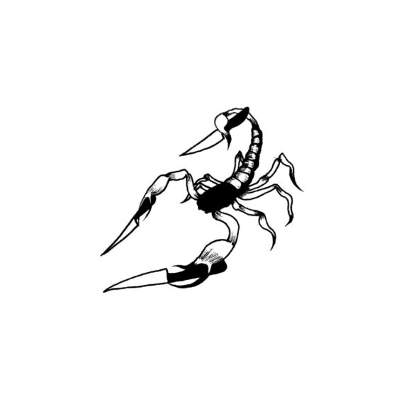 Scorpio's Guard