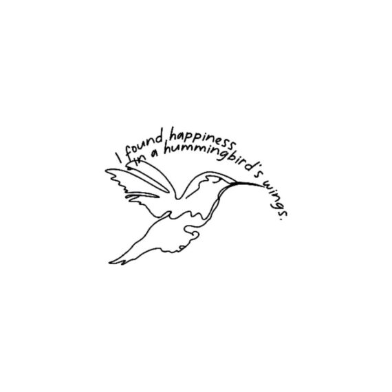 Hummingbird Wings