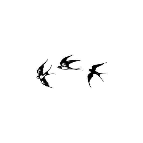 Soar High
