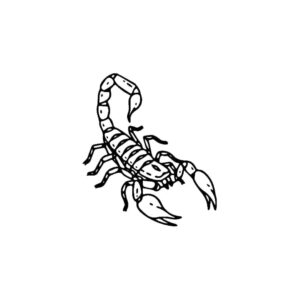 Scorpion Sting