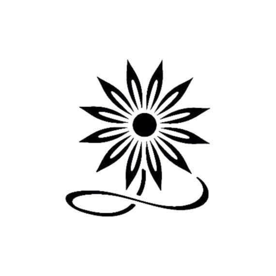 Druidaisy