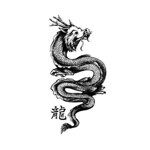 Year Of Dragon