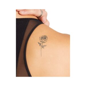 未命名的设计 - 2024-12-03T143157.113